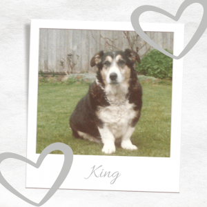 About King About King